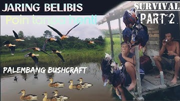 ASTAGAAA!!!!!😱😱BELIBIS‼️KENA JARING TANPA HENTI✅Part2️⃣