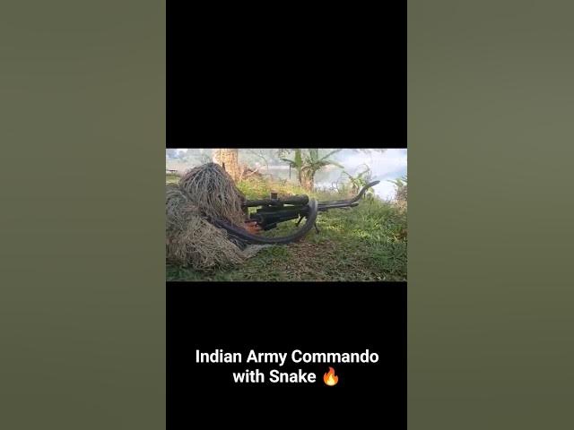 Indian Army Sniper Commando Training with Snake 🔥🔥🔥 #shorts #viral #viralvideo #sniper #commando