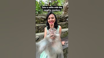 Things to do in Bali 10/30 | Selfie with monkeys | Monkey Forest in Ubud | #shorts #travel #bali