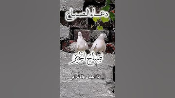 أذكار الصباح خير ما تبدء به يومك ۩ #تيك_توك #فولو #لايك #اكسبلور #اكسبلورفولو #ترند