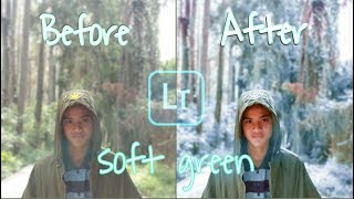 Tutorial editing lighroom:filter soft green screenshot 3