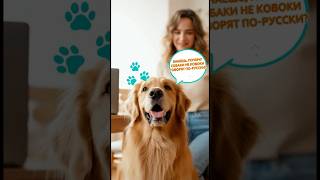 Почему собаки не говорят по-русски… #funny #comedy #dogs