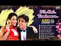 Dil Hai Tumhaara Audio Jukebox 🎶