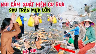 Núi Cấm Mưa Lớn Xuất Hiện Cụ Rùa khủng về Hồ Thủy Liêm nghề Ránh Hàng Lên Núi Quá khổ