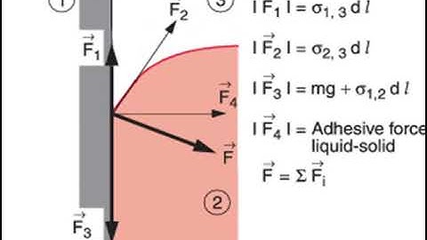 Shape of Meniscus Part 11