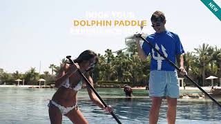 Dolphin Paddle | Exciting New Dolphin Experiences At Atlantis Aquaventure