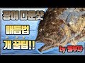 광어다운샷 도래매듭법 및 바늘매듭법정리와 웜부자꿀팁!!