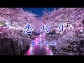 【新曲】 恋灯り 岩出和也 2023 4 5 発売 cover sato