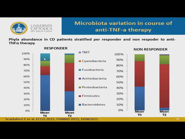 EBGH Torgiano 2018 WORKING TEAM   MICROBIOTA E IBD di Franco Scaldaferri