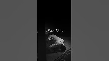 عبدالرحمن مسعد سورة الفتح ( هُوَ ٱلَّذِىٓ أَنزَلَ ٱلسَّكِينَةَ فِى قُلُوبِ ٱلْمُؤْمِنِينَ )