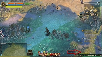 Adatag Highway - EXP and Silver 100% Works | Tree of Savior