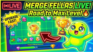 🔥 Live Merge Fellas! Chill Gameplay, Merging & Upgrading | Road to Top Rank!