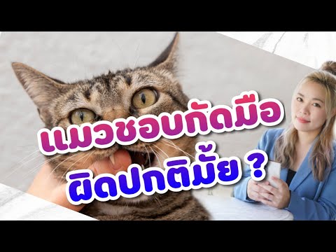 วีดีโอ: ทำไมแมวกัดผมของฉัน?