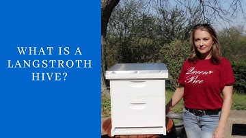 What Is A Langstroth Hive?