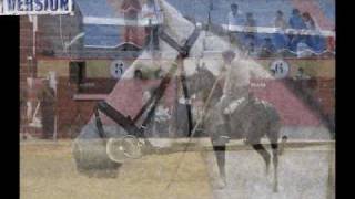 YEGUADA LAS PERDICES - Villamanta (Madrid)