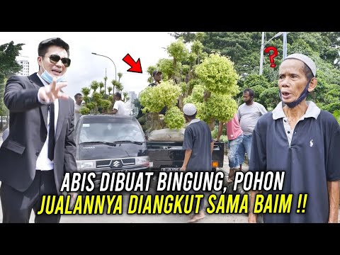 BORONG POHON SI PENJUAL TANAMAN ‼️ PERMINTAANNYA DIKABULKAN BAIM ..