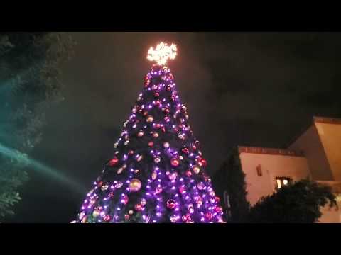 joyeuses-fetes-de-fin-d'annee-et-meilleurs-voeux-2019-d'-arizona.