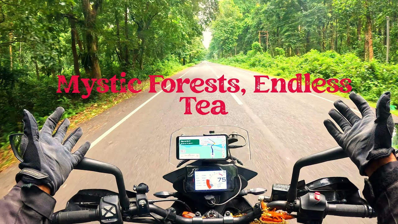 Lava’s Mystical Forests and the Stunning Tea Gardens of Northeast India