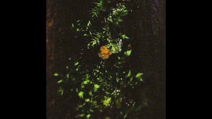 Enivrèz Vous - NiuuuR [UTR050]