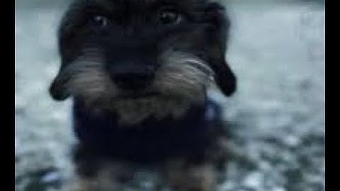 Beating a random ULTRAKILL level everyday until Fraud releases - Day 374