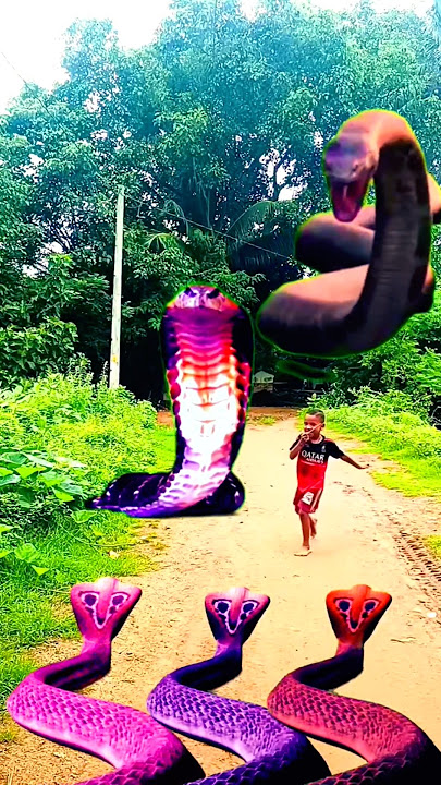 #hara  hara shambhu #snake age #vba bachao  #kedarnath jaunga kasam #trending #vfx #shortvideo