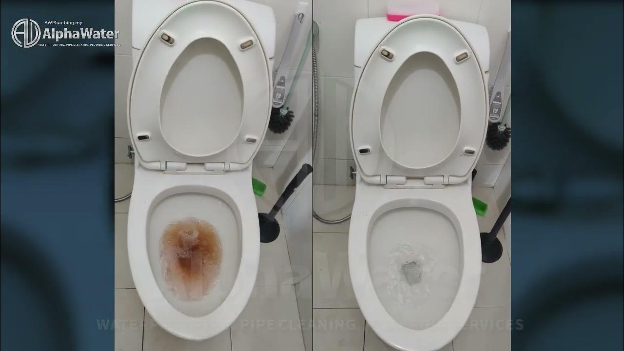 Clogged Toilet Bowl Unclogging Service (Before & After) YouTube