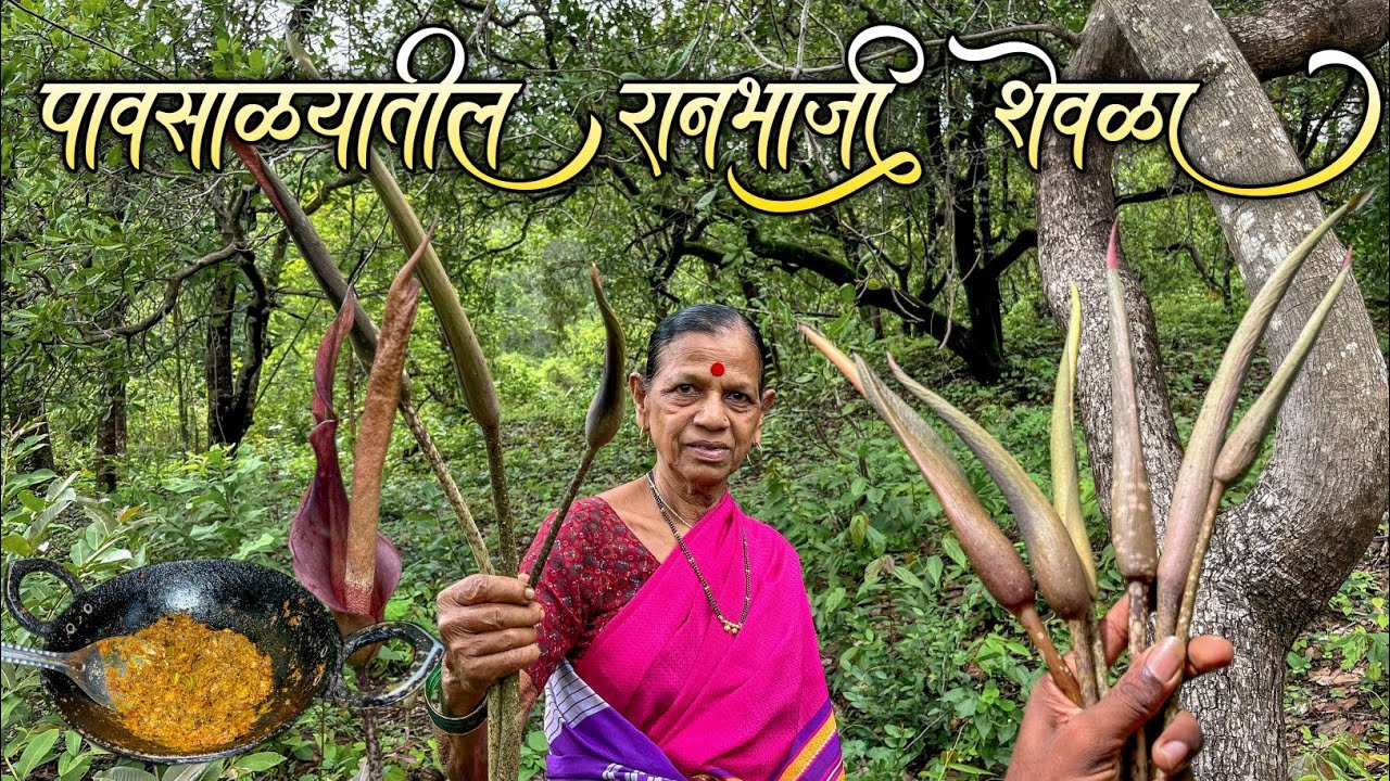 जंगलातील शेवळ्याची योग्य भाजी कशी ओळखायची ?|आईने बनवली शेवळयाची भाजी|Ranbhaji Shevla