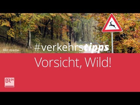 Video: So Vermeiden Sie Einen Unfall Für Einen Unerfahrenen Fahrer