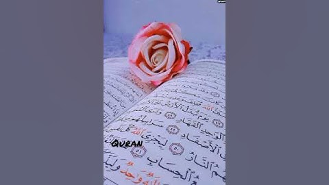 واقترب الوعد الحق فإذا هي شاخصة أبصار الذين كفروا اسلام صبحي  تلاوة خاشعة ومؤثرة قران كريم 🤍🍁🕊️