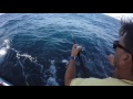 Half Moon Bay Sportfishing on the Independence 2016