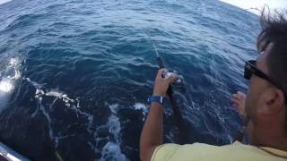 Half Moon Bay Sportfishing on the Independence 2016