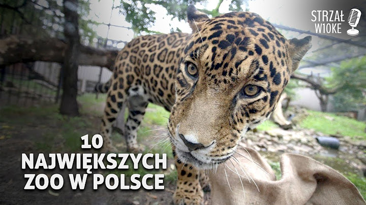 10 Największych ZOO w Polsce