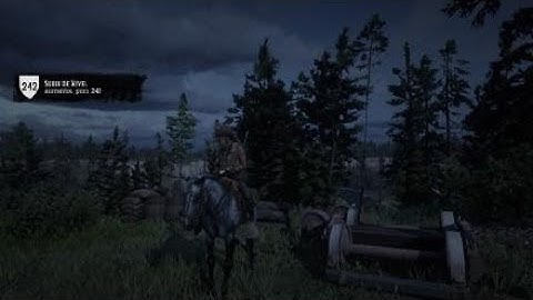 Red Dead Redemption 2 Trader 600 Dolla delivery (solo)