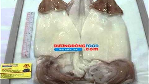 Tìm Chỗ Bán Mực Một Nắng Sỉ Lẻ Giá Tốt