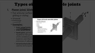 PLANER/GLIDING JOINT: INTER CARPLE JOINT