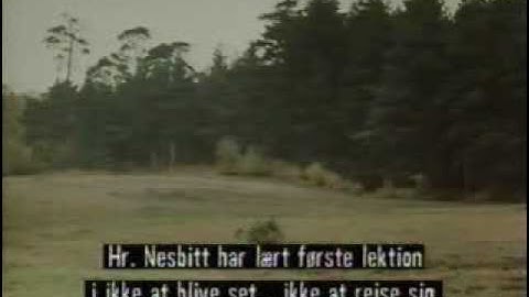 Monty Python - Not Being Seen