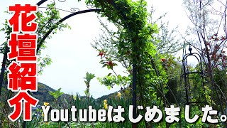 【ガーデニング】4月上旬の花壇紹介（東側編）。春の宿根草、多年草、庭木50種。こぼれ種さん頑張ってます！