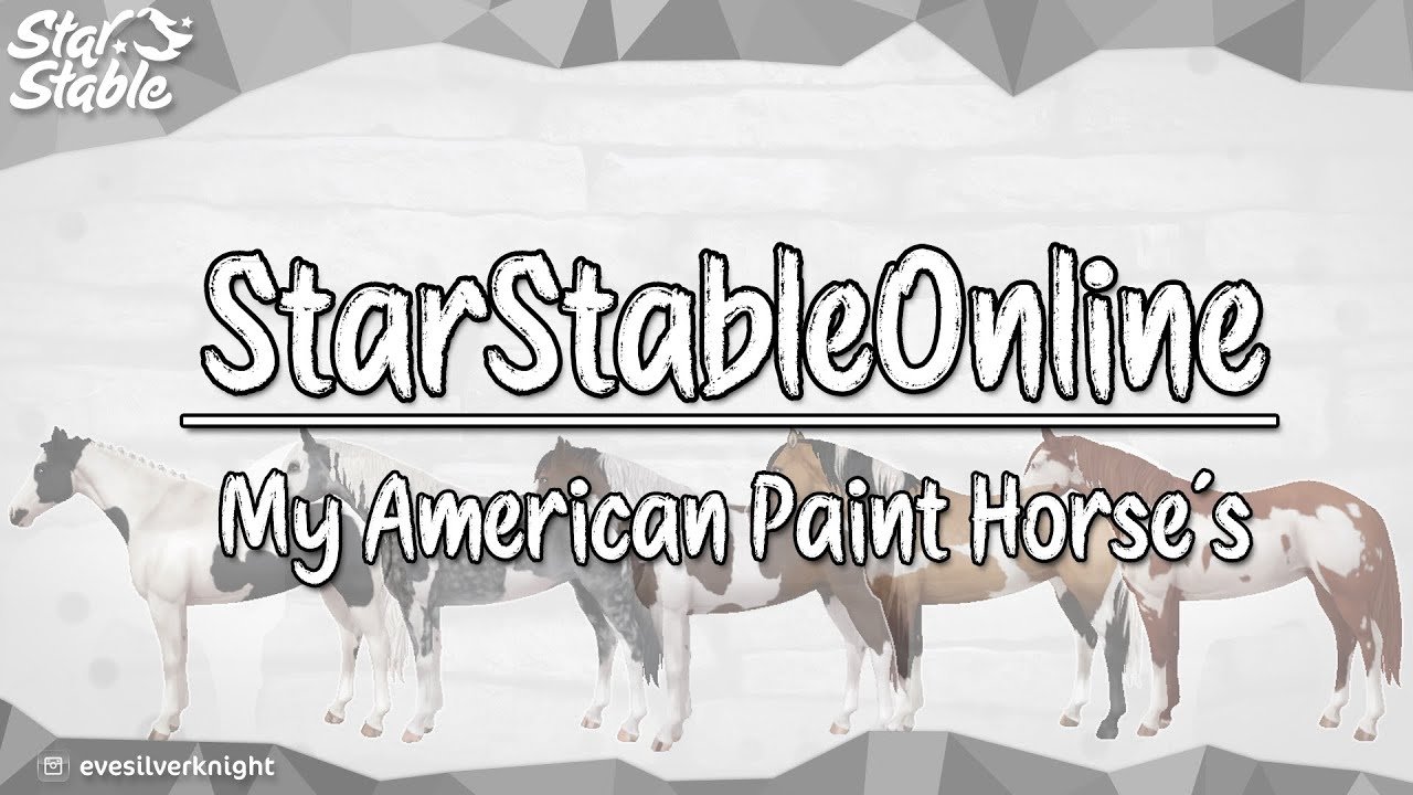 StarStableOnline | My American Paint Horse´s 🐎