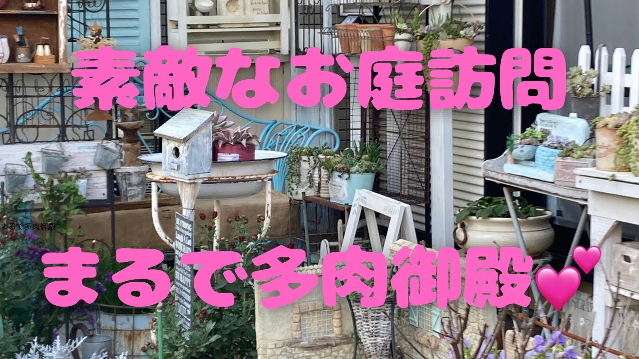 素敵なお庭💓まるで多肉御殿