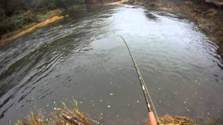 Bobber Down Oregon Coast Range