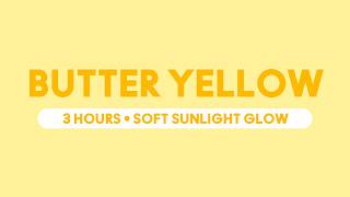 Pastel Butter Yellow Screen 3 Hours HD  Soft Warm Sunlight Glow for Study & Reading screenshot 5