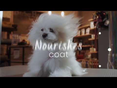 Because your pooch is worth it! Soft & Shiny advert