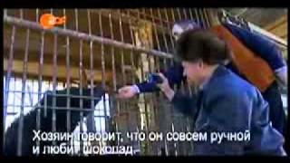 Дальнобойщики. РФ. Герои Русского Холода. ч1 Дальнобойщики. РФ. Герои Русского Холода. ч1