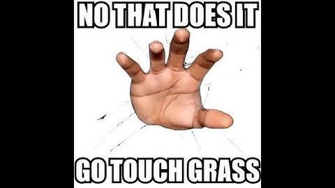 GO TOUCH GRASS NOW