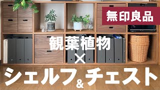 神収納で模様替えQOL爆上がり【無印良品】スタッキングシェルフ+チェストで収納が●●/【お部屋スッキリ】【驚きの収納力】【オトナ空間】