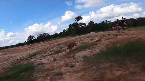 Rear Mounted GoPro Hero 8 on TBS Source One v3