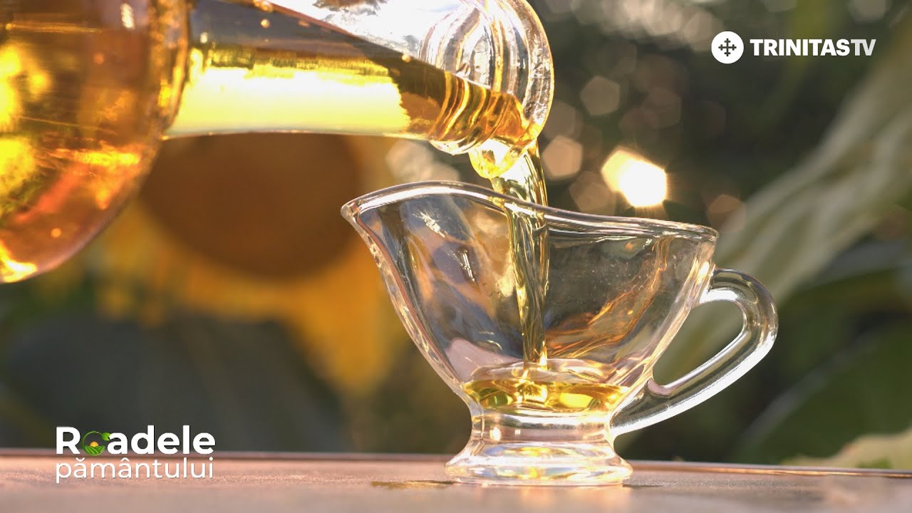 🌻 Știți cum se produce uleiul presat la rece din semințe de floarea-soarelui? #RoadelePământului