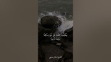 (عَيْنًا يَشْرَبُ بِهَا عِبَادُ اللَّهِ)سورة الانسان💕القارئ اسلام صبحي 🎧🌱