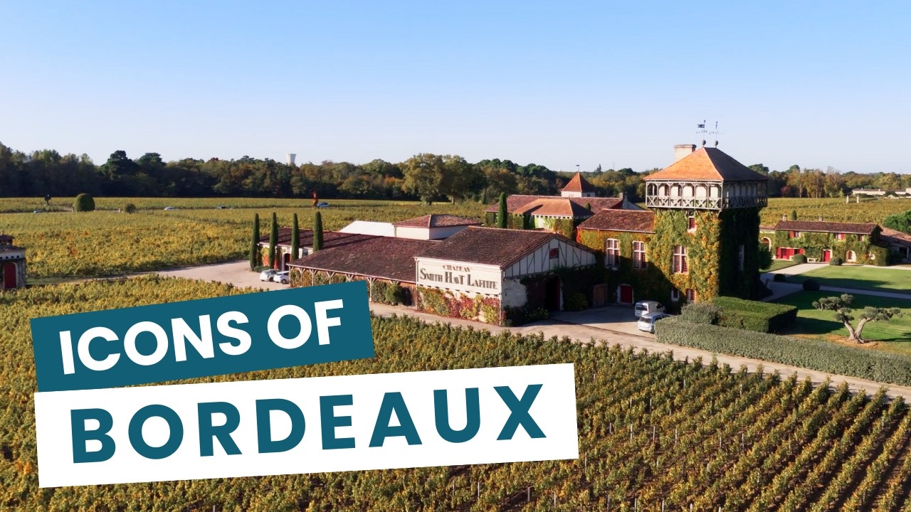 Two Icons of Bordeaux Wine 🍷 | Sigalas Rabaud & Smith Haut Lafitte