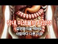 마이크로바이옴 다양성